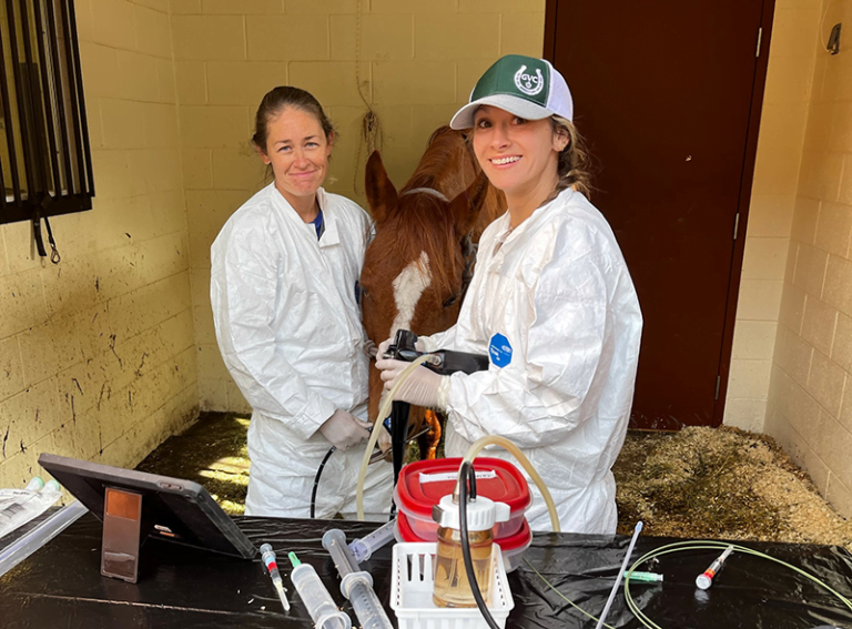 Experiencing an Emergency? Glenwood Veterinary Clinic