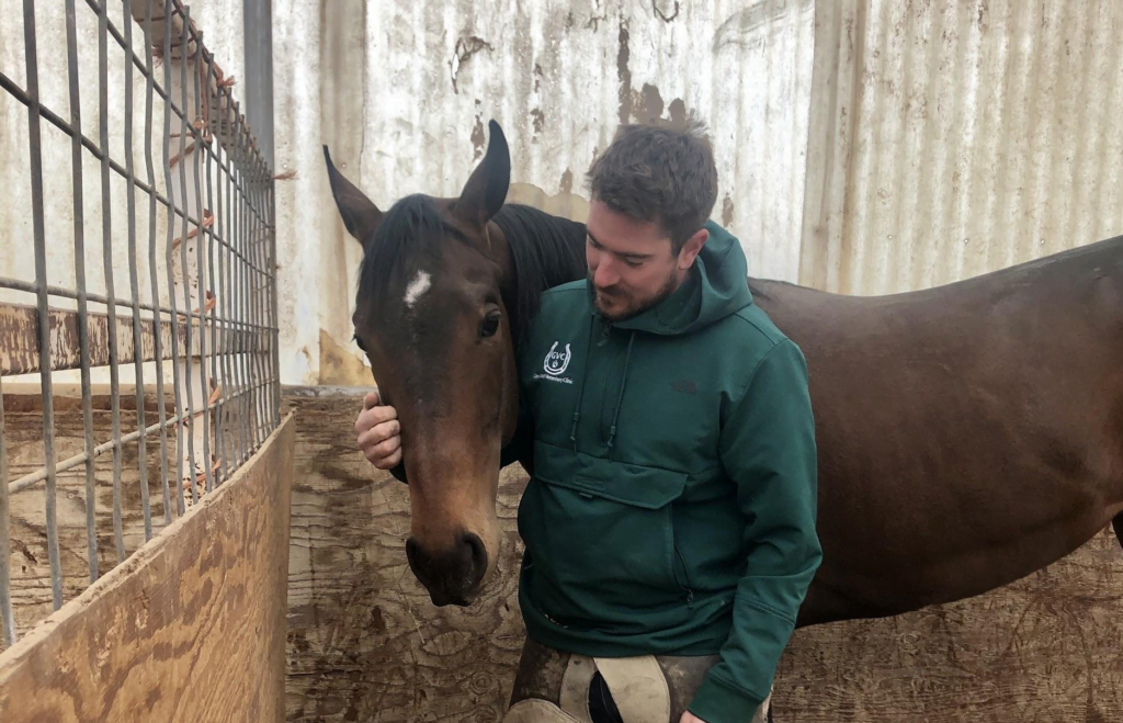 Equine Surgery Glenwood Veterinary Clinic