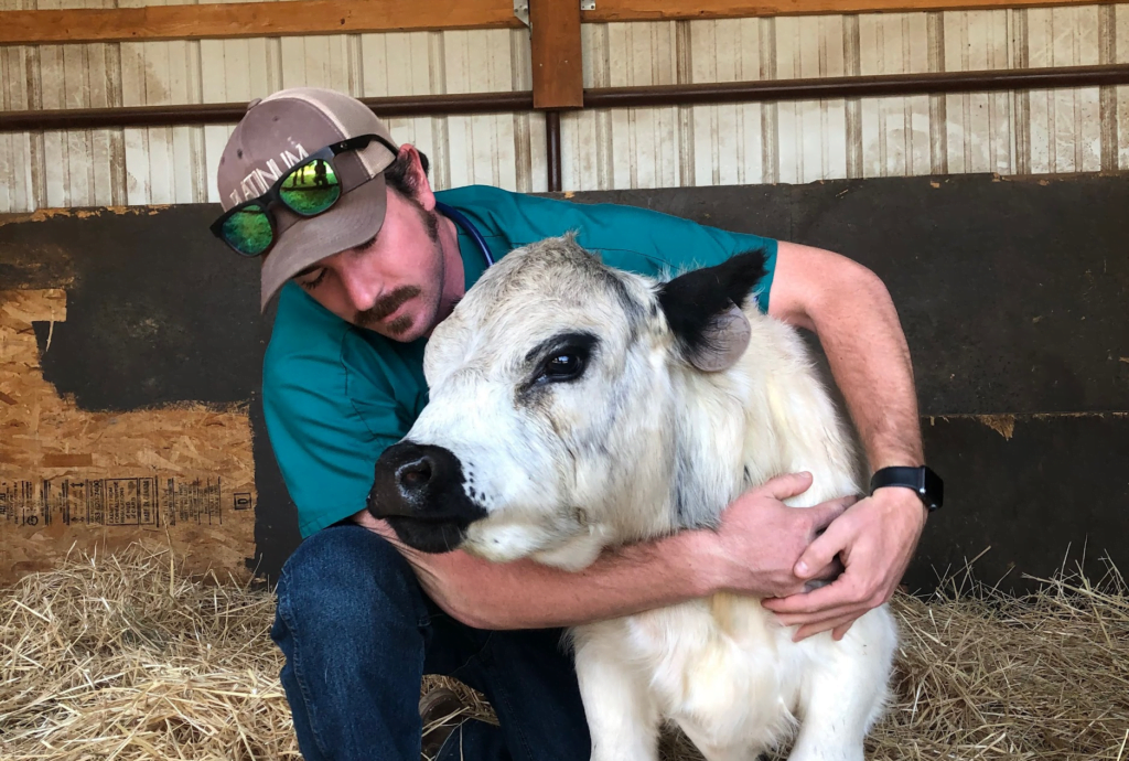 Livestock Glenwood Veterinary Clinic