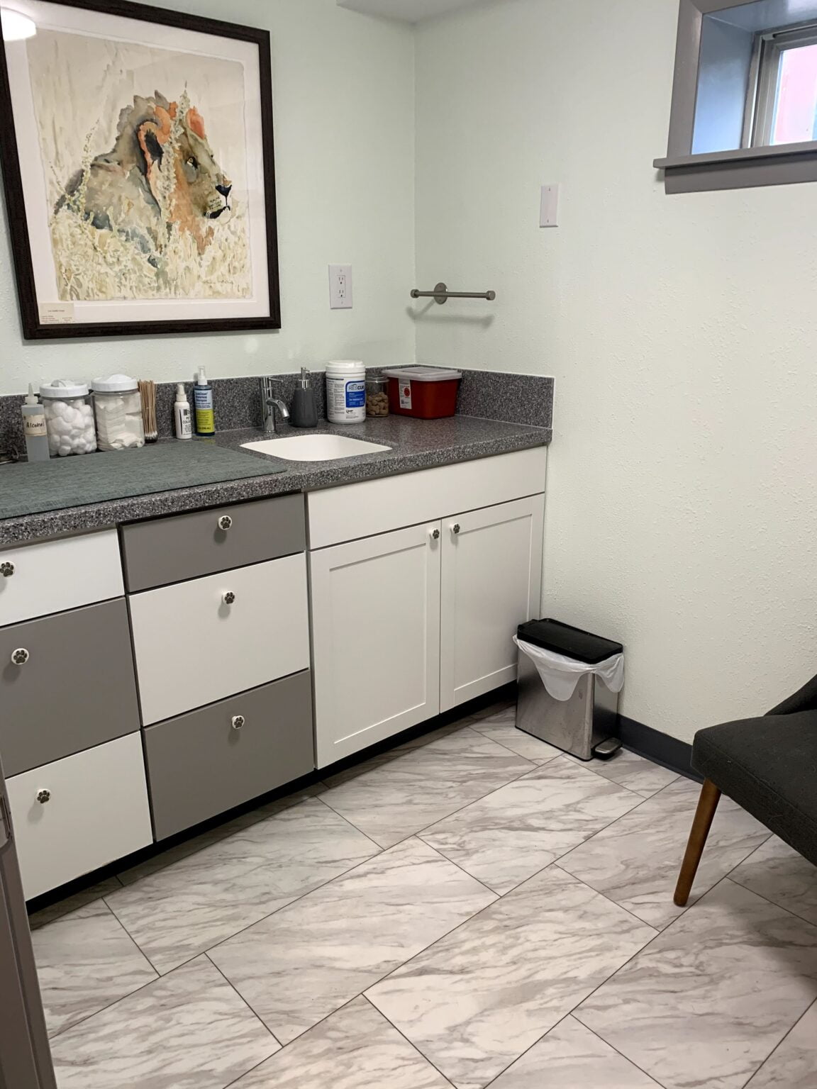 Hospital Tour Glenwood Veterinary Clinic