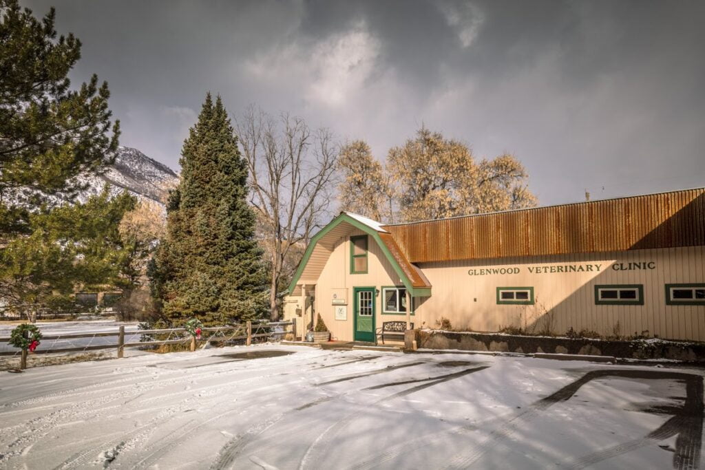 Our History Glenwood Veterinary Clinic