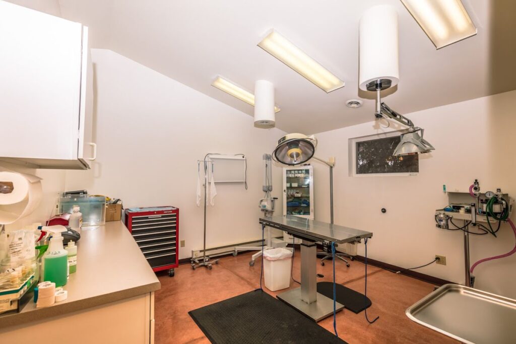 Hospital Tour Glenwood Veterinary Clinic