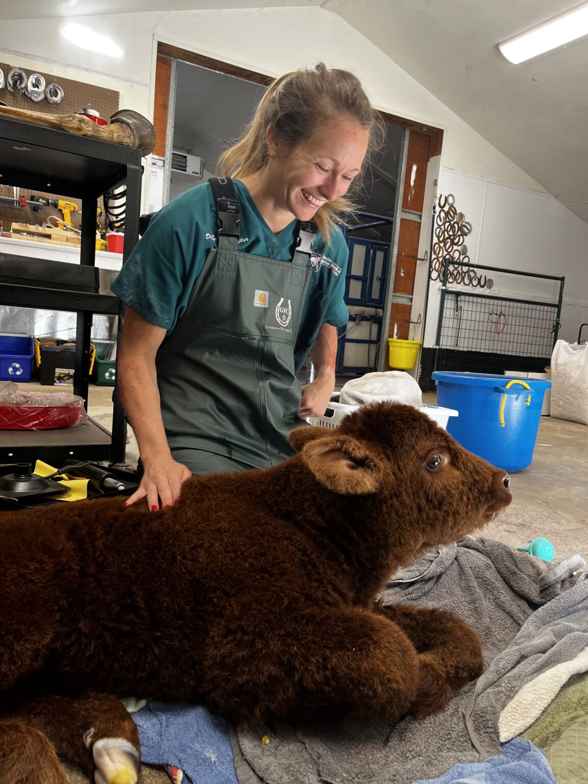 Careers/Apprenticeship Glenwood Veterinary Clinic