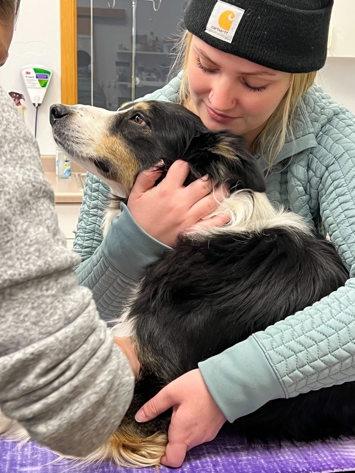 Careers/Apprenticeship Glenwood Veterinary Clinic