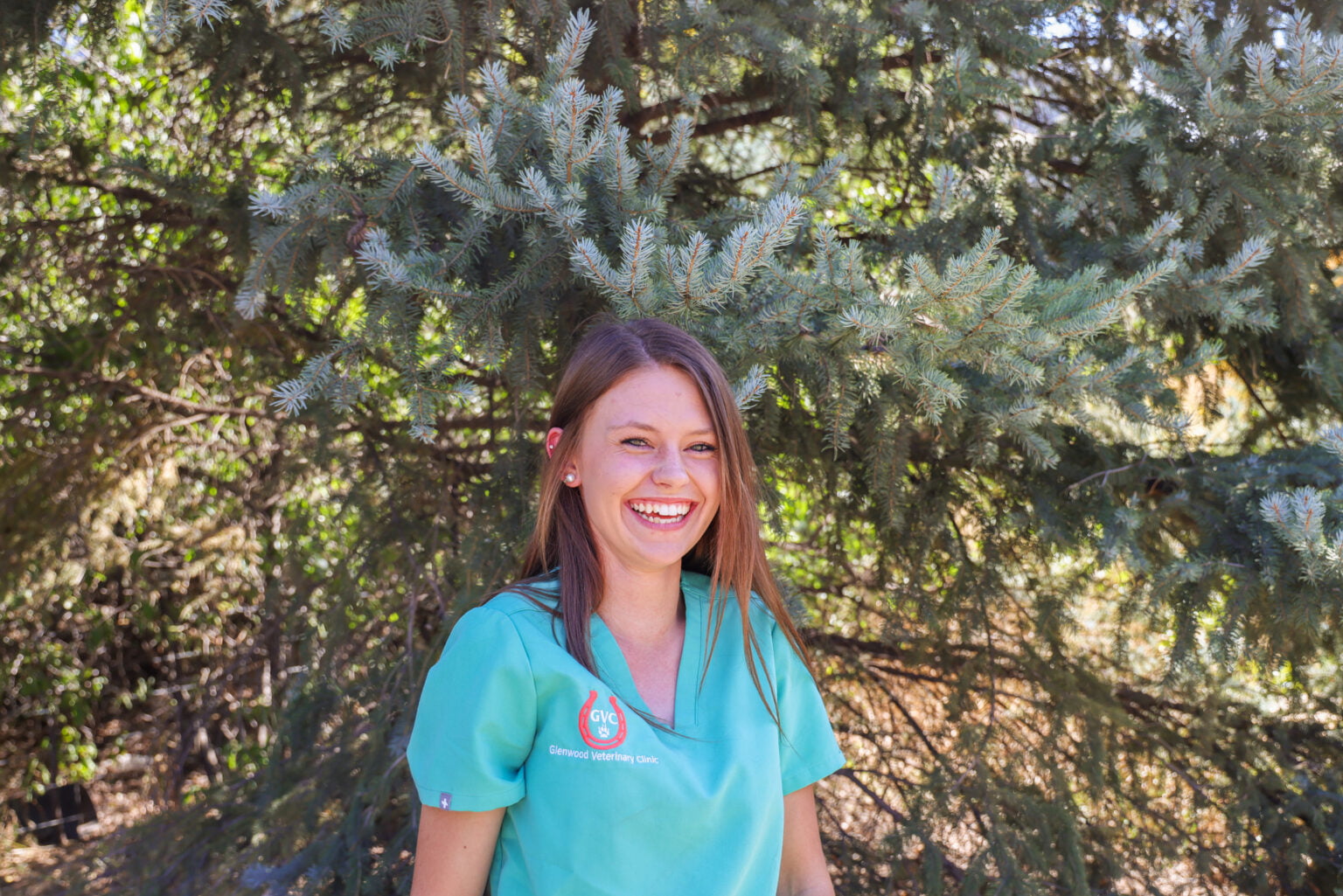 Meet the Team Glenwood Veterinary Clinic