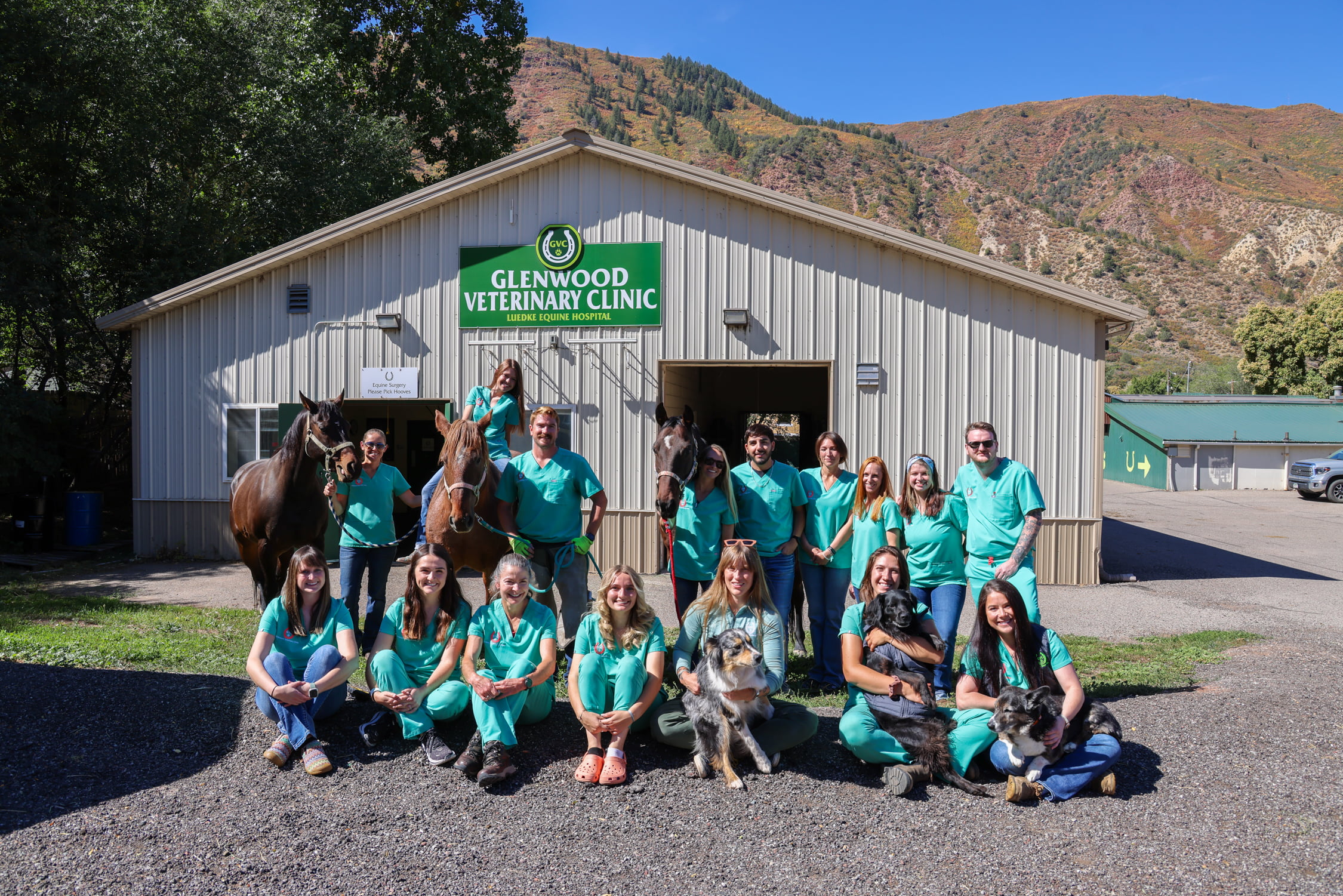 Meet the Team Glenwood Veterinary Clinic